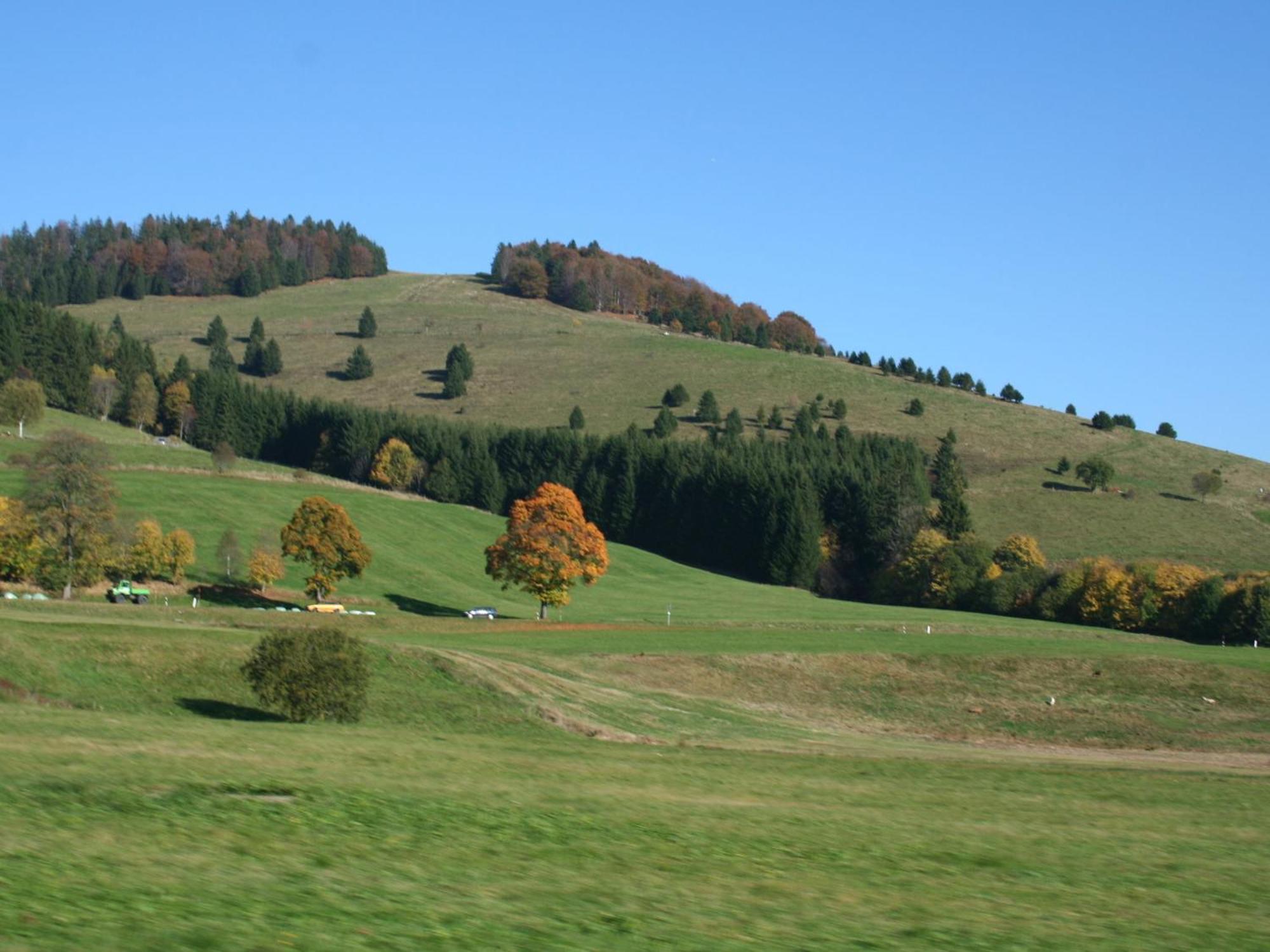 Cozy Holiday Apartment In The Black Forest Dachsberg im Schwarzwald Exterior foto